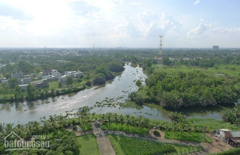 View sông Gò Dưa